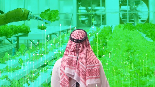 Saudi Arabia announces first smart farm project to improve food security