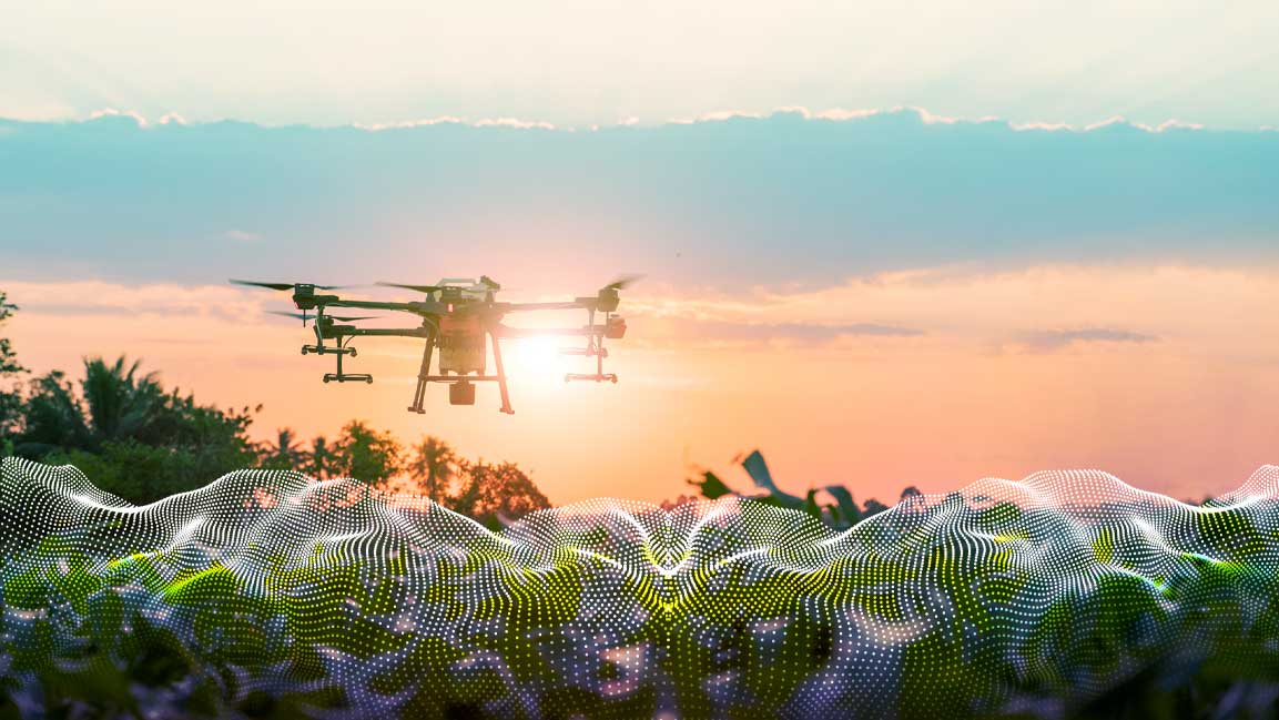 Satellite, drones and AI tech to track soil quality in Abu Dhabi