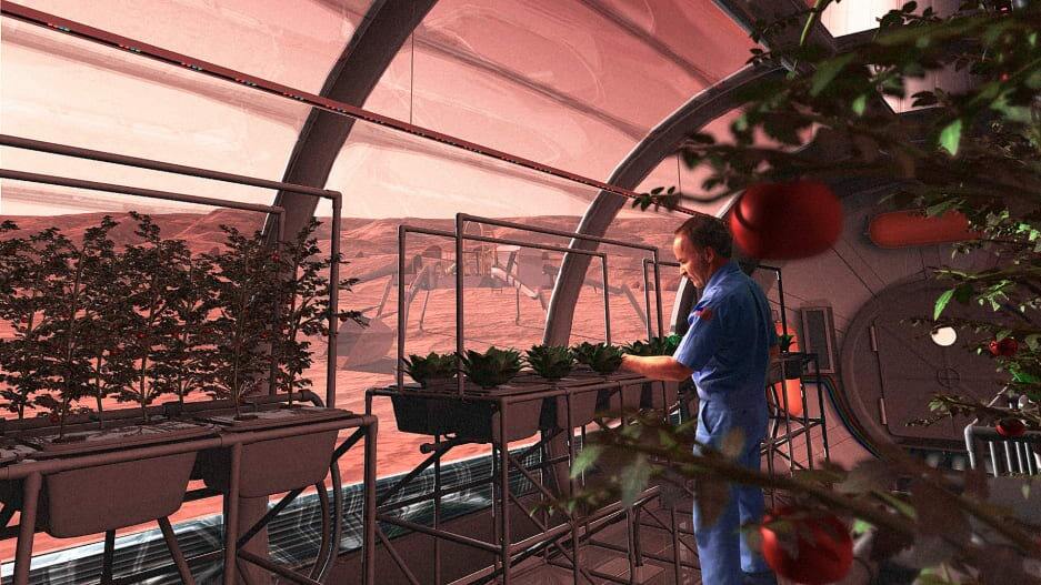 ‘Dinner on Mars’: How space agriculture could transform food on Earth