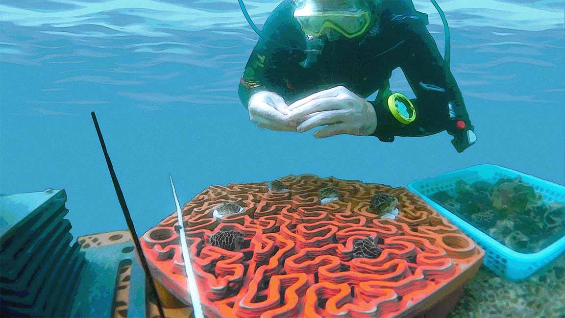 These 3D-printed reef tiles double as a home for marine life