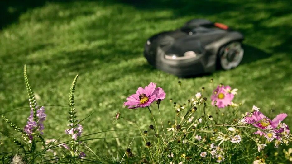 This robot lawnmower wants to help return your yard to nature