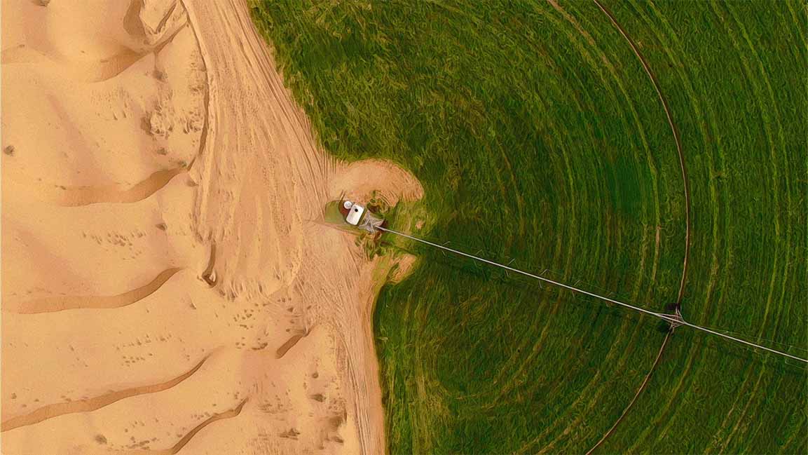 Gulf nations want to transform deserts into farmlands. Can technology make that happen?