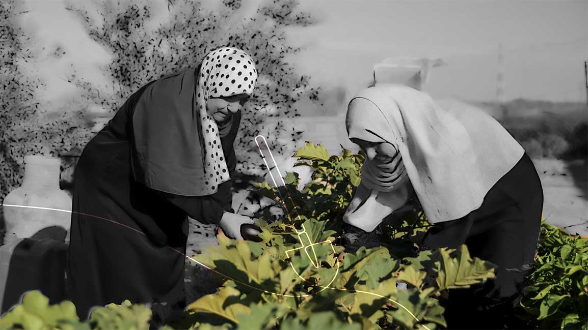 Farming in Gaza is a man’s job. These green girls are changing that