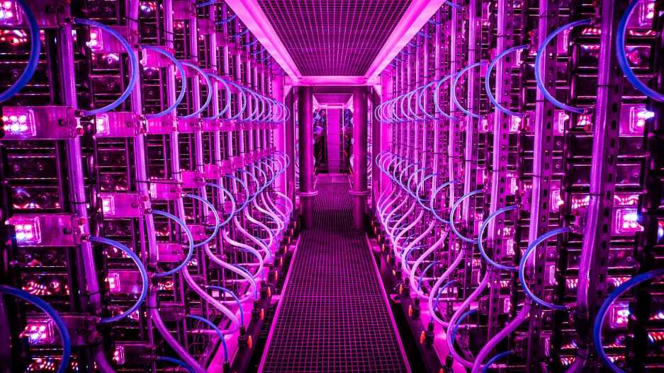 Inside this vertical farm, carbon-neutral algae grows under glowing pink lights