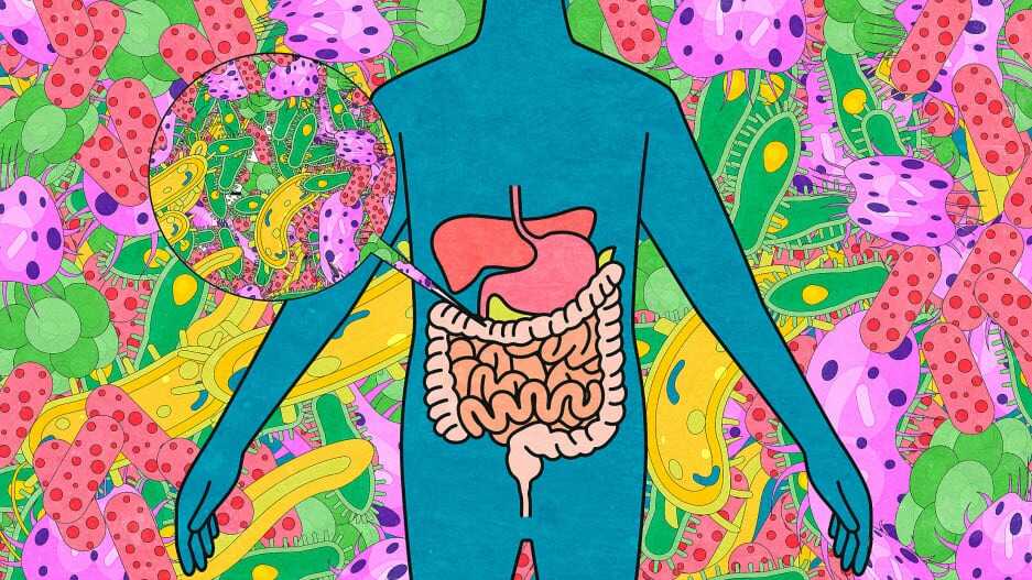 You have trillions of microbes in your gut. Here’s what at-home test kits can tell you about them